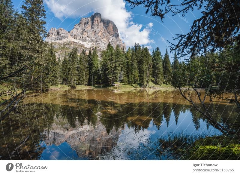 Tofana di Rozes reflected in small pond on Passo Falzarego, Dolomites in the Province of Belluno, Veneto, Italy dolomites mountain italy tofana province veneto