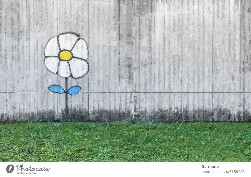 Graffiti of a daisy art artist background beautiful blue can city color colors concept concrete creative creativity design flower graffiti grass green grunge