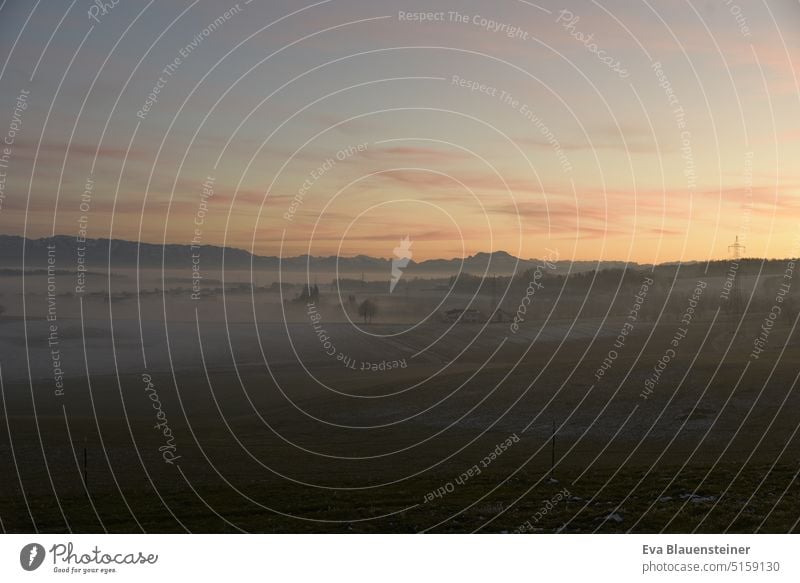 Winter landscape at sunset winter landscape Sunset wafts of mist Fog Twilight Hill sheep's mountain Mountain