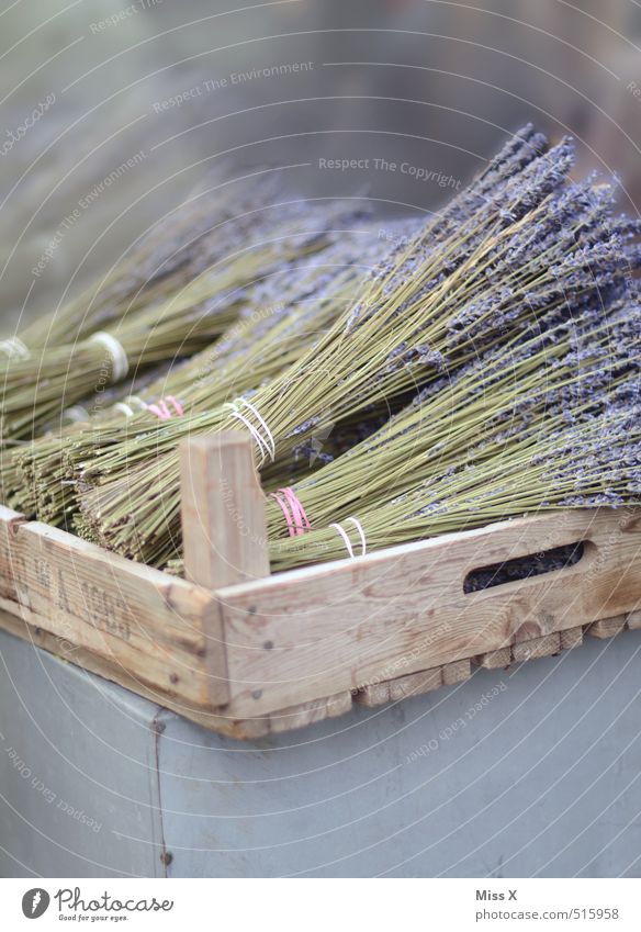 lavender Food Herbs and spices Nutrition Organic produce Italian Food Flower Blossom Blossoming Fragrance Faded Dry Violet Farmer's market Wooden box Lavender