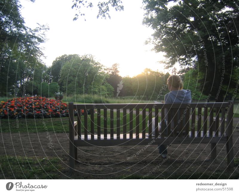 A day in the park Woman Park Bench Sun