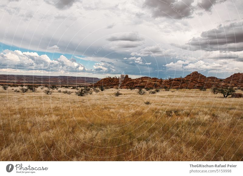 Steppe with hill in background Namibia dessert camp Landscape Exterior shot Desert Nature Deserted Environment Far-off places namibia road trip Sand sandy