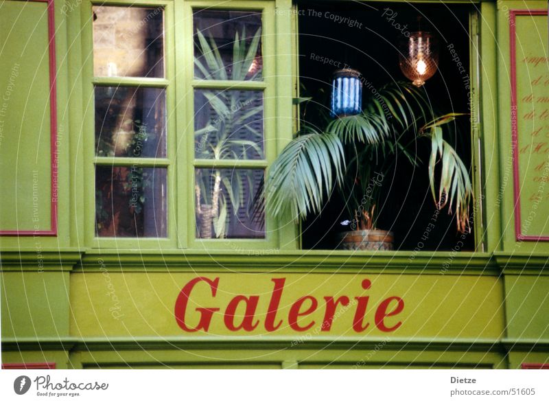 gallery green Green Window Houseplant Paris Moody Gallery Detail Architecture