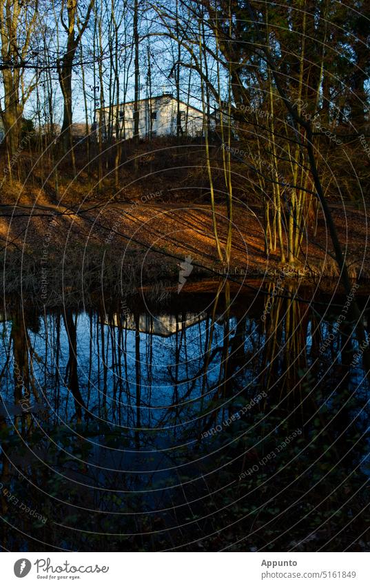 A small park on the shore of a pond shows warm brown hues of fallen leaves and blue sky reflected in the water Park Pond Town Landscape Water reflection