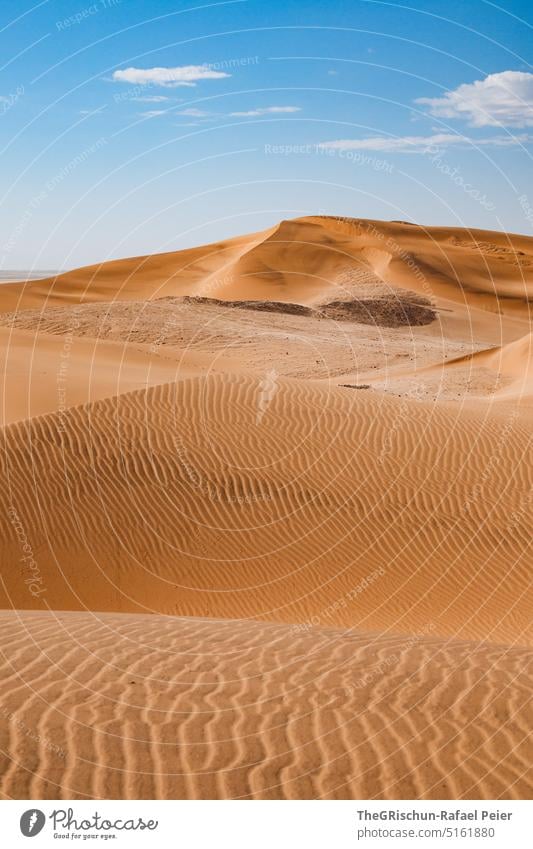 Dune against blue sky with pattern Pattern duene Blue Sky Sand Namibia Grains of sand Sampling Nature Landscape Africa Far-off places Warmth Colour photo dunes