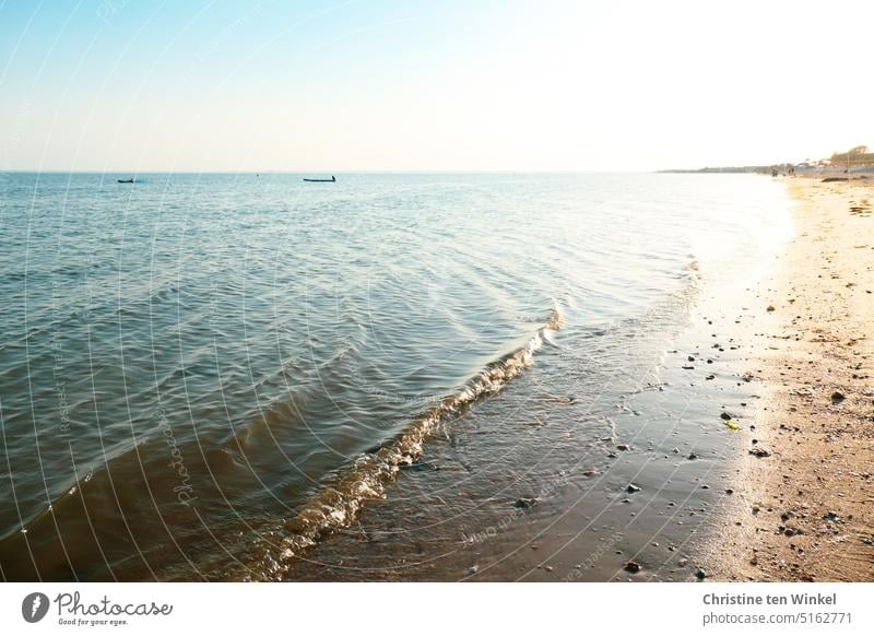 Image interference | Noise sea noise Ocean Waves North Sea North Sea beach Mud flats Beach Back-light Vacation & Travel Summer Sunlight Water sparkle