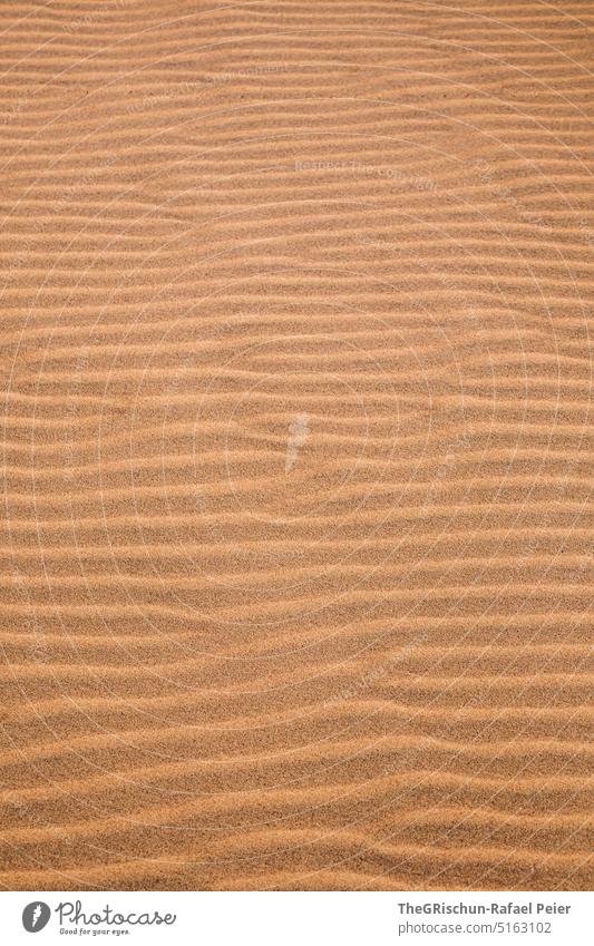 Dune against blue sky with pattern Pattern Sand Namibia Grains of sand Sampling Nature Landscape Africa Far-off places Warmth Colour photo Desert Adventure