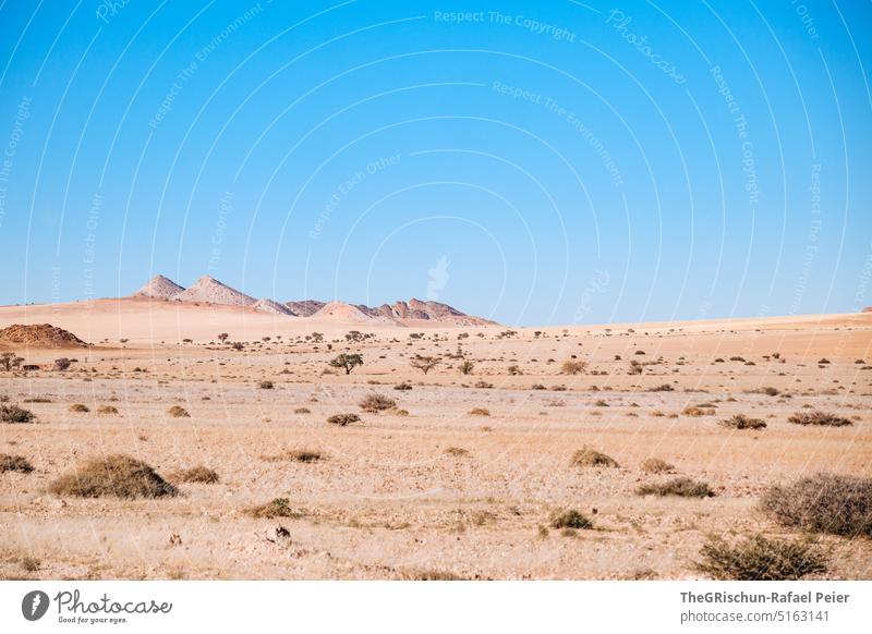 Rock formation against blue sky Namibia Mountain travel Landscape Nature Vacation & Travel Africa Exterior shot Far-off places Deserted Sky Tourism Dry bush