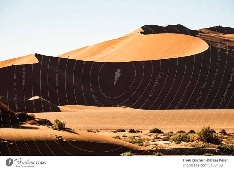 Sand dune against blue sky Namibia Desert Sossusvlei duene Dry Hot Africa Landscape Nature Far-off places Warmth Namib desert Adventure Loneliness