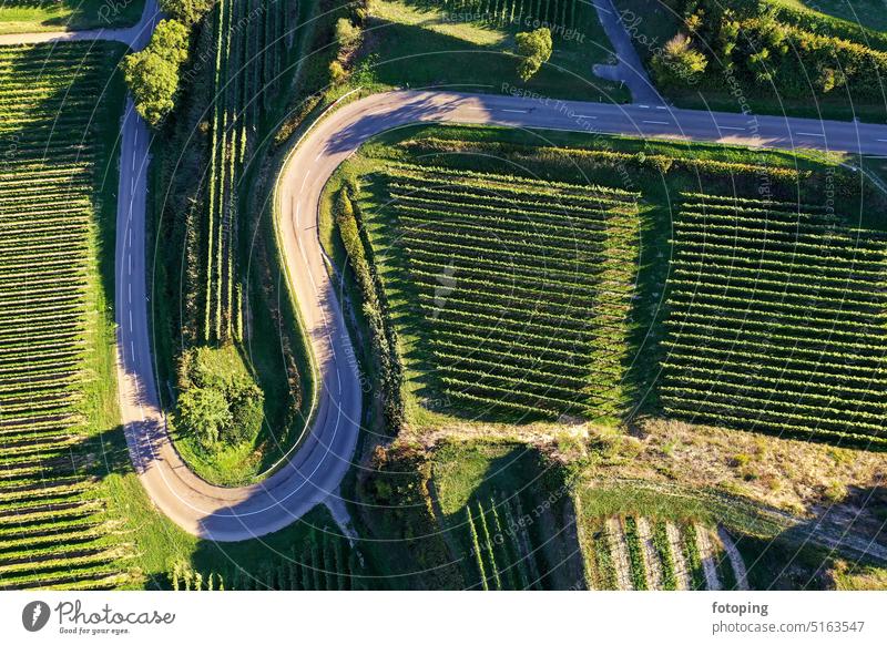 Aerial view of Texaspass at Kaiserstuhl with view of vineyards. Oberbergen, Breisgau, Black Forest, Freiburg, Baden-Württemberg, Germany. On the corner breisgau