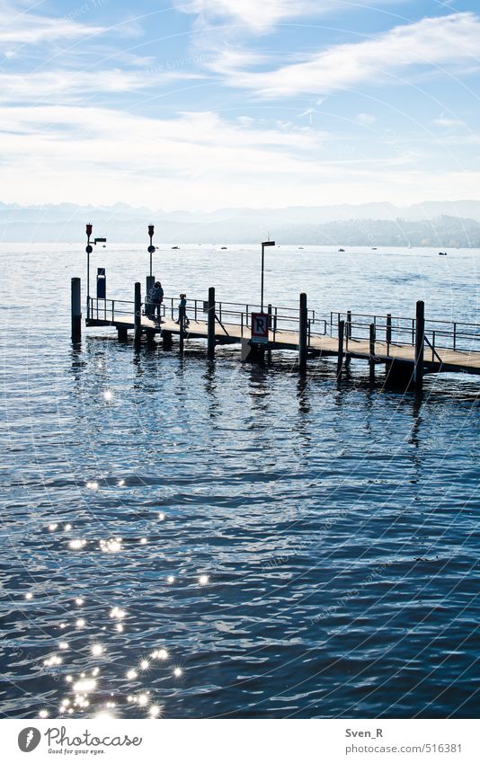 Lake Zurich Sun Landscape Sunlight Lake zurich Water Swimming & Bathing Glittering Illuminate Footbridge Colour photo Exterior shot Copy Space bottom Day