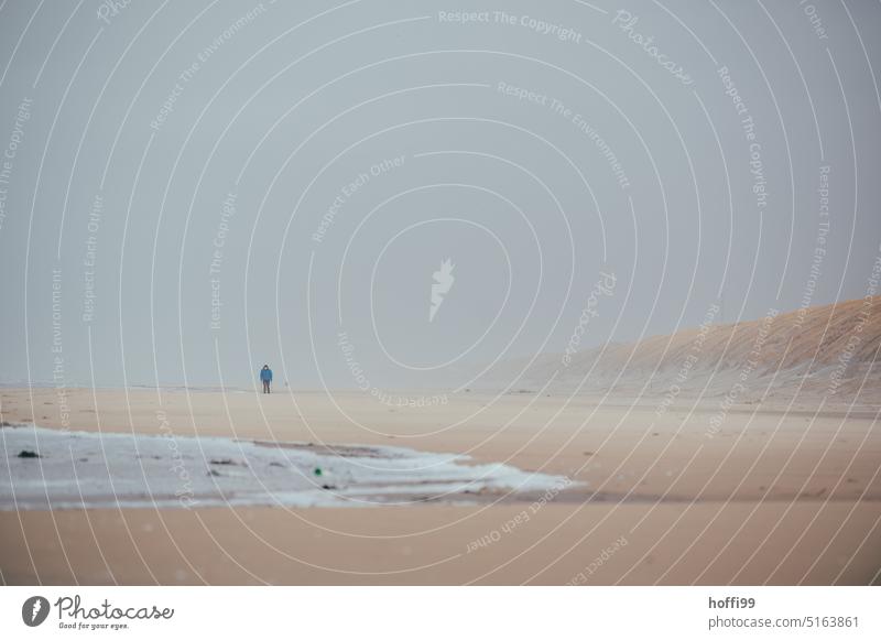 lonely person on wide beach with sandstorm, fog and hazy view. Fog Surf Sandstorm Denmark Sandy beach Autumn Beach Walk on the beach Gale Drift Winter Clouds