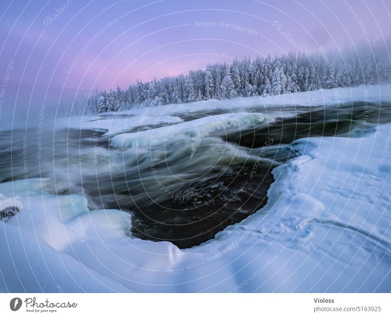 Storforsen rapids in the evening light VIII storfords Norrbotten län Swede Northern Sweden Nature reserve Rapid Winter Frost Snow Cold Frozen afterglows firs