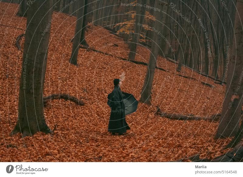 Young girl with black umbrella in autumn forest Young woman Girl Black Umbrella Forest Gloomy Park three leaves Landscape Nature Autumn leaves Autumnal weather