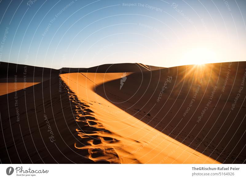 Sunset on dune Sand duene Namibia Africa travel Desert Landscape Adventure Nature Warmth Sossusvlei Far-off places Shadow Light Blue sky sandy Deserted