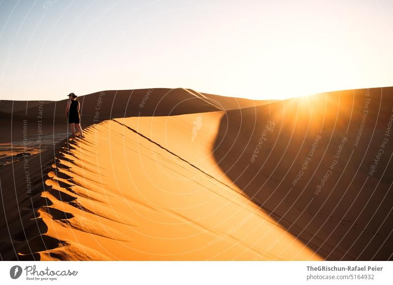 Sunset on dune with man on dune edge Sand duene Namibia Africa travel Desert Landscape Adventure Nature Warmth Sossusvlei Far-off places Shadow Light Blue sky