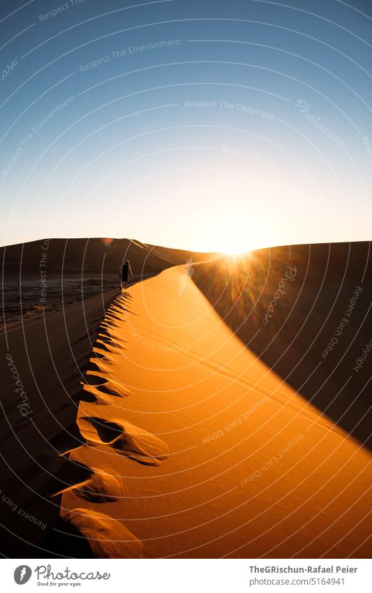 Sunset on dune Sand duene Namibia Africa travel Desert Landscape Adventure Nature Warmth Sossusvlei Far-off places Shadow Light Blue sky sandy touristic popular