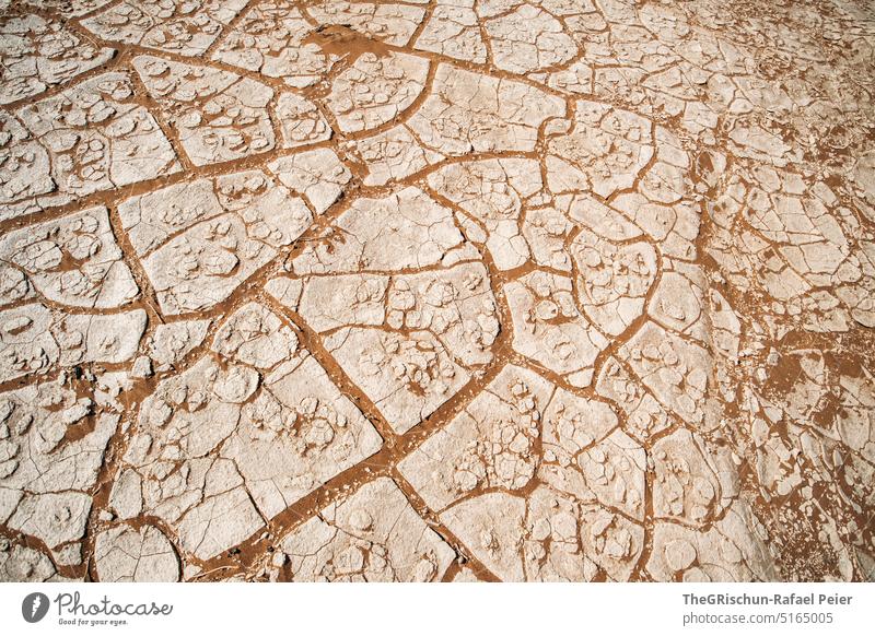 Dry sand Namibia Desert Sand Hot Africa Landscape Nature Far-off places Warmth Namib desert travel Exterior shot Pattern Detail sand pattern sandy