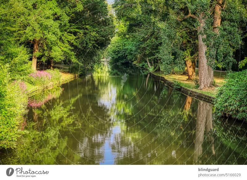 Bruges Brugge Belgium minnewater River Channel Tourism Europe Idyll bank trees Meadow Summer Paradisical background pretty Bridge Landscape Reflection