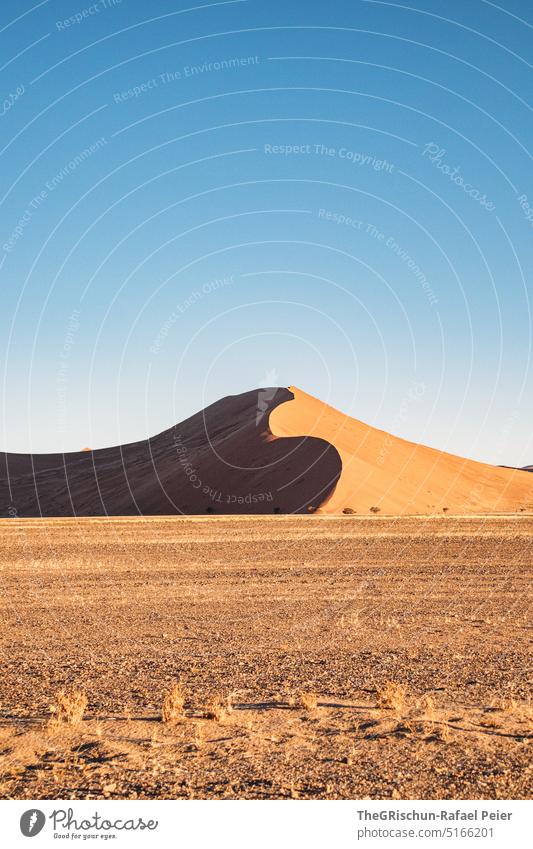 Dune against blue sky Sand duene Namibia Africa travel Desert Landscape Adventure Nature Warmth dune 45 Sossusvlei Far-off places Shadow Light Blue sky sandy