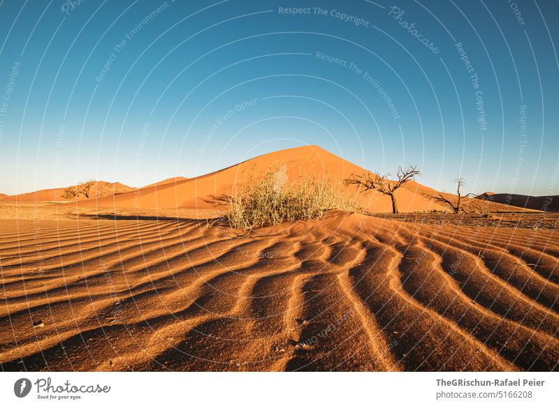 Sand stage with sand pattern in foreground duene Namibia Africa travel Desert Landscape Adventure Nature Warmth dune 45 Sossusvlei Far-off places Brown cute