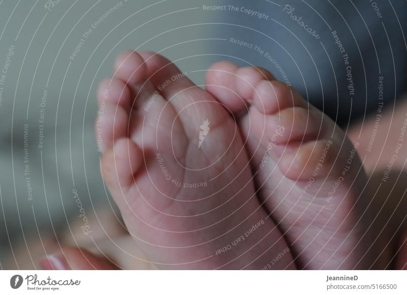 baby feet Baby Child Birth Feet Close-up Life Toes 0 - 12 months Infancy maternity Mother Newborn Cute start fresh start Family Domestic happiness Human being