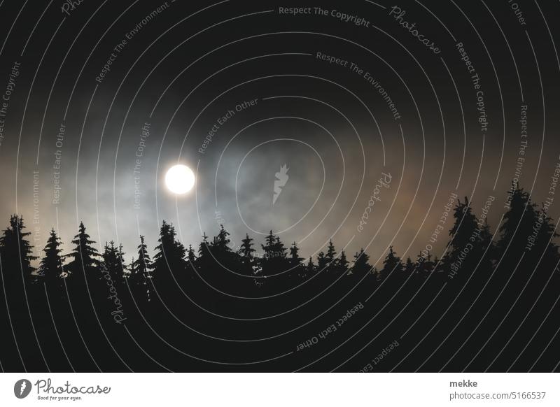 Sun near eclipse through clouds Clouds Sky Sunset Nature Forest Dark Dark clouds somber Mysterious Enchanted forest Sunlight Solar disk Fog High fog Treetop