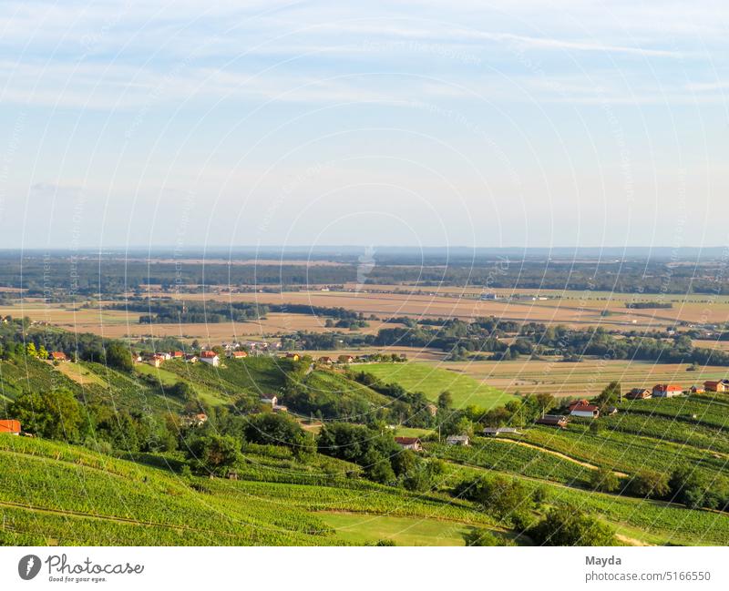 Landscape with vineyards in Slovenia Vine Vineyard Nature rural motif Green voyage Autumn Agriculture Village Landscape panorama Non-urban motif Summer Tourism