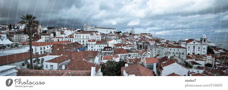 cruise ship hideout Clouds Bad weather Tree Coast Ocean Capital city Port City Downtown Skyline House (Residential Structure) Harbour Roof Cruise liner Blue Red