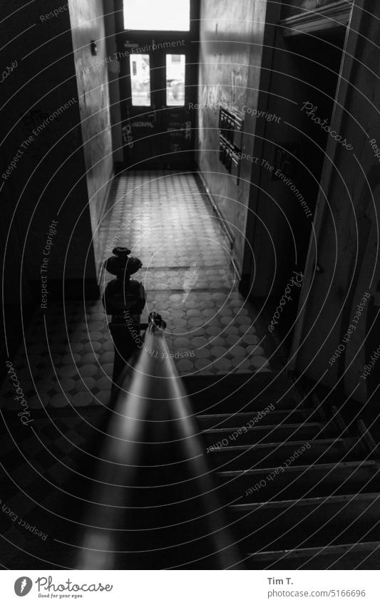 View into the hallway coming down the stairs Berlin Prenzlauer Berg b/w Staircase (Hallway) Downtown Town Capital city Black & white photo Day Old town Deserted