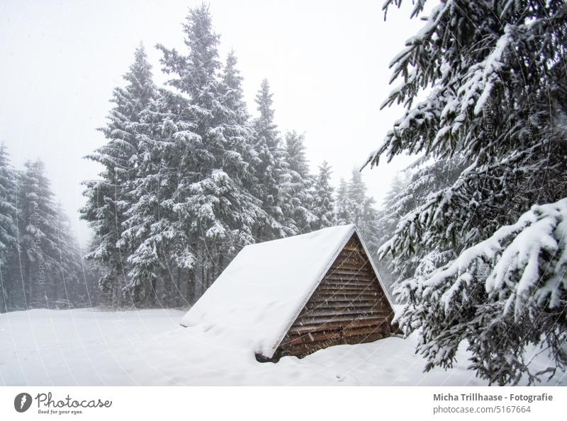 Cottage in the snow-covered forest Thuringia Thueringer Wald Schneekopf Snow snowy Winter winter landscape Hut Wooden hut refuge trees Forest Sky vacation