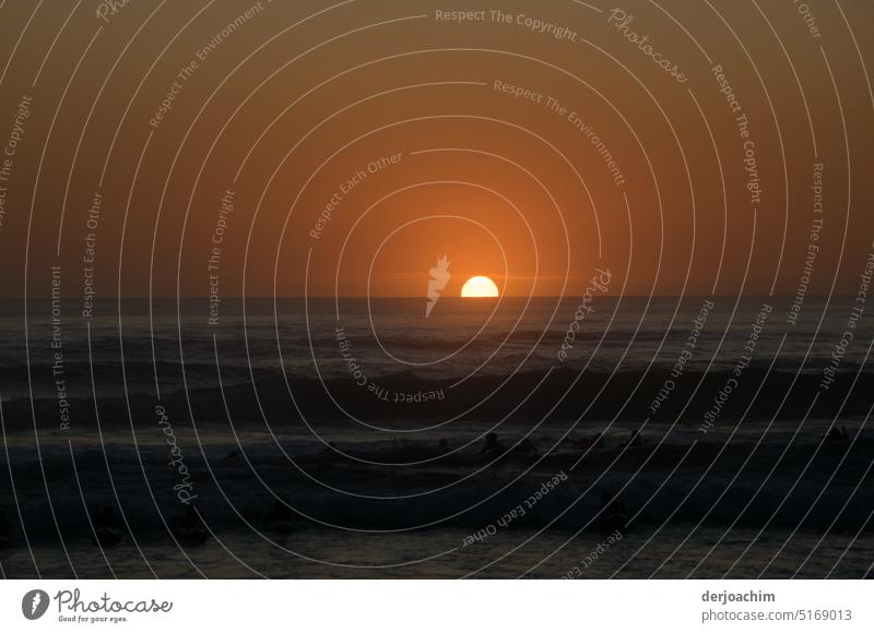 The last light of the day disappears behind the ocean. sunset mood Nature Sunset sky Sunset light Dusk Sunlight Sky Exterior shot Twilight Landscape Evening