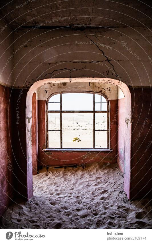 light view Shadow Light forsake sb./sth. Transience Africa Namibia Desert Wanderlust Colour photo Adventure Vacation & Travel especially Impressive Dry