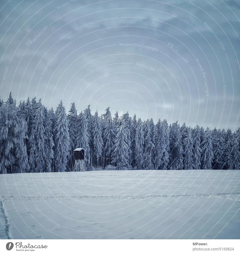 winter forest with high stand Winter forest Snow Field high level hunter's seat Hunting Blind Snow layer Cold White Nature Landscape Winter's day Winter mood