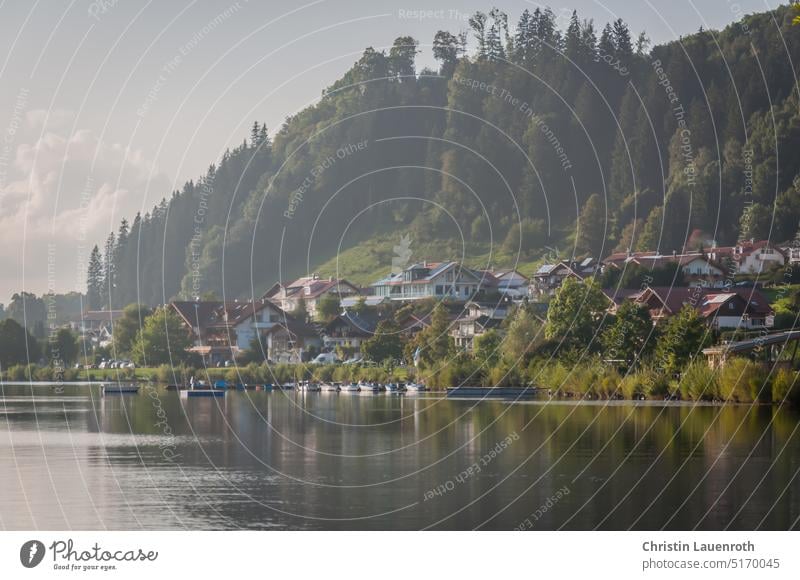 Hopfen am See. Wonderful Allgäu at the Hopfensee. Green idyll. Lake Alps Footbridge Colour photo Exterior shot Morning Lake Hopfen Water Landscape Sunset Nature