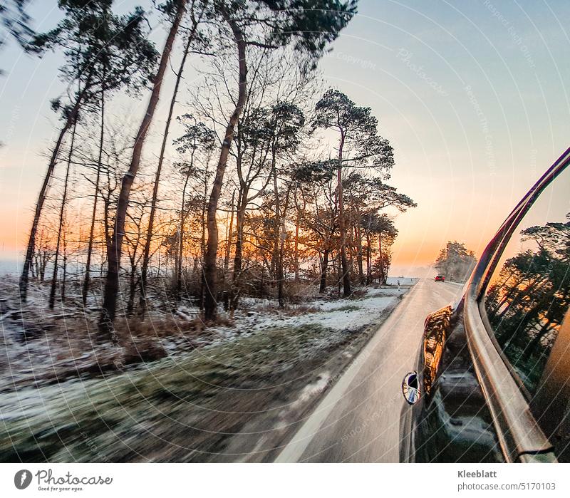 Don't miss the frosty sunrise - driving fun chill Sunrise While driving, swift between the trees Snow Frost Winter Seasons Landscape Winter mood Exterior shot