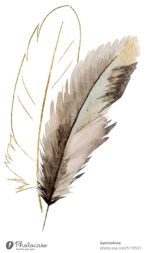 Watercolor beige and gold feathers, glitter outlines, Bohemian element illustration isolated Decoration Element Exotic Hand drawn Isolated Sketch Summer