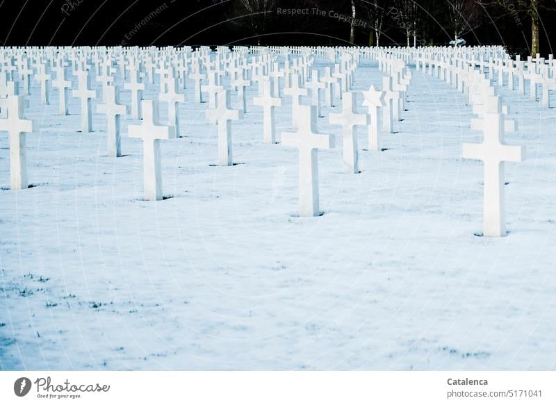 War grave Cemetery Gravesite Military cemetery fallen soldiers honorary cemetery Fallen Cemetery Death Grief Funeral world war ii winter snow Crosses memorial