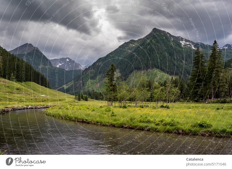 Mountain landscape in rainy weather, the stream winds through meadow and woods. Hiking mountains Environment Gray Green trees Grass Clouds Day daylight Sky