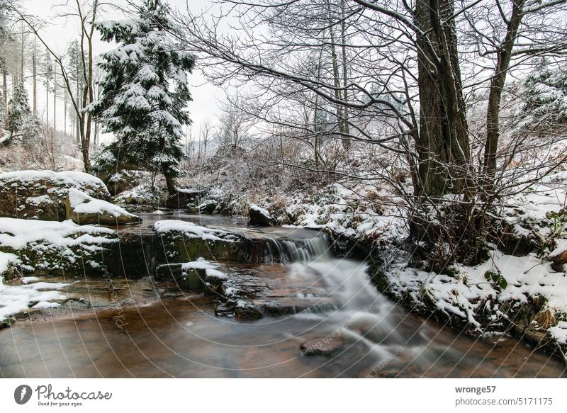 The upper Ilse valley in winter 8 fold Little river Harz Long exposure nd filter Snow Tripod Winter Ilsetal Winter landscape Winter's day Nature Winter mood