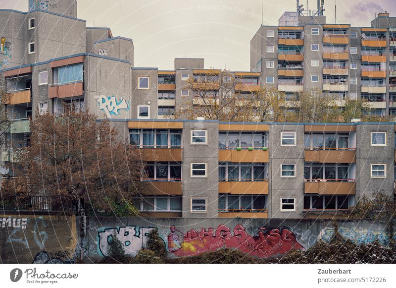 Structured facades of residential buildings with graffiti, balconies, trees in gray and beige Apartment Building Facade structure Balcony Gray Beige Graffiti