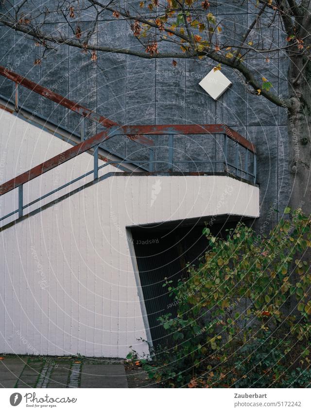 Concrete staircase with steel railing on gray slab facade topped with square wall lamp contrasted with branches Stairs ascent Steel Facade Modern Gloomy