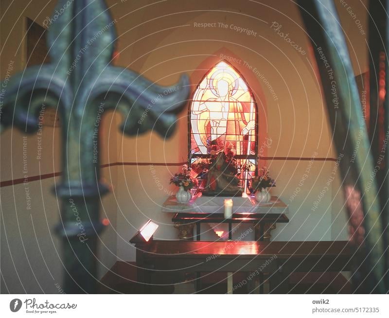 Evening Prayer Chapel Church Religion and faith Colour photo Glass Light (Natural Phenomenon) Sunlight sunshine Window Purity Figure Brilliant luminescent