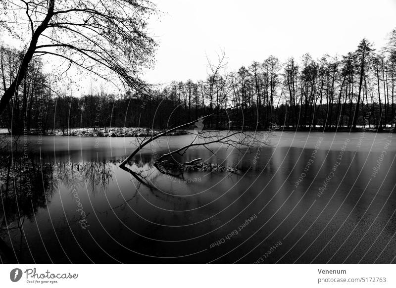 Partially frozen lake in winter, snow lies on the shore small lake Lakes Water Sky cloud Clouds bank seaboard Reeds Reflection Water reflection trees Nature