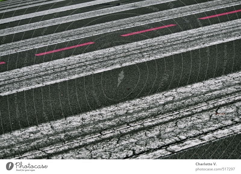 Red Line Deserted Street Pavement Marker line Traffic infrastructure Signs and labeling Zebra crossing Stripe Dark Black White Accuracy Arrangement Asphalt