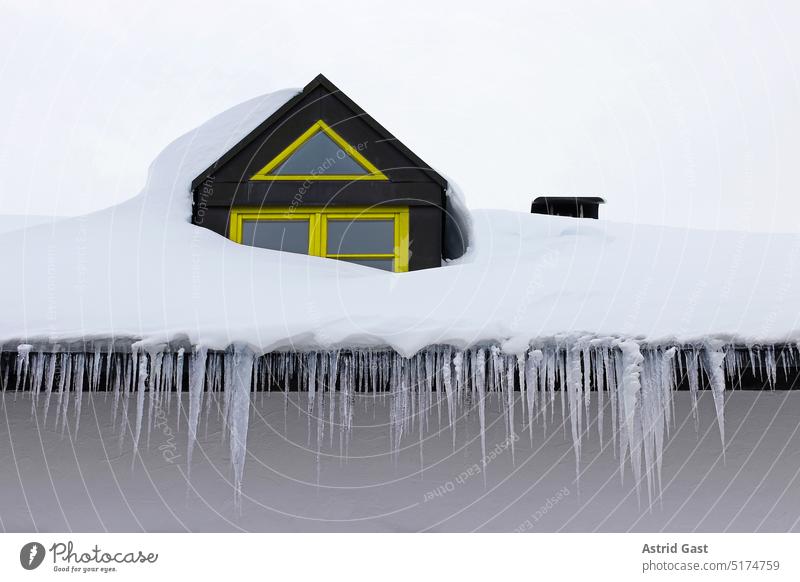 Large dangerous icicles on a skylight on the roof of a house in winter House (Residential Structure) house roof Icicle Roof peril Dangerous Winter Snow Ice Thaw