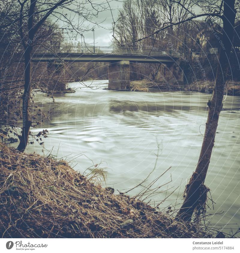 Flowing water in long exposure in front of a bridge, bordered with trees. Brook Banks of a brook Water fluid Bridge Nature Environment Green River River bank