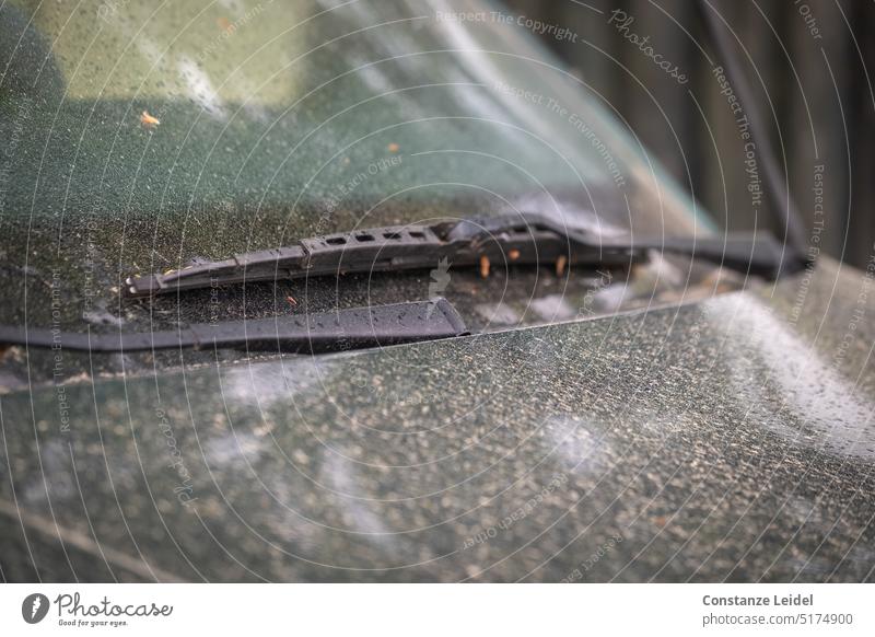 Wet, dirty windshield and hood of a car. Cleaning Wash Vehicle Rain automobile Windscreen wiper care polish Dusty Car reflection filth Car wash Dirty Old frowzy