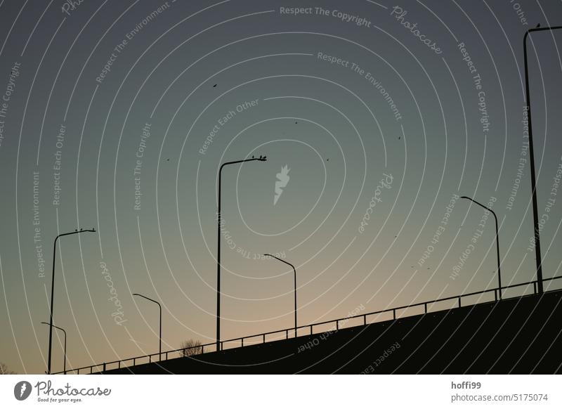 Silhouette of street light and bridge with railing under cloudless sky at blue hour Street lighting Cloudless sky Dusk Sunset light Twilight Blue Light Moody