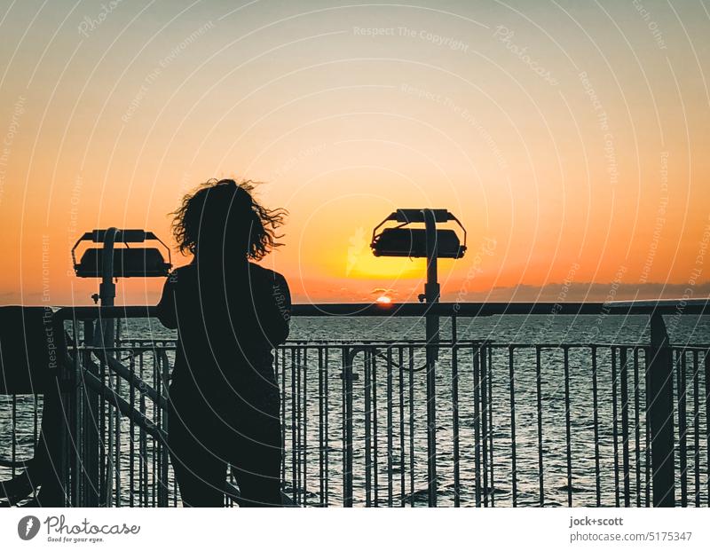 watch the sunset on the ferry to Tas Woman Sunset Ocean Romance Evening Tasman Sea Horizon Cloudless sky Vacation & Travel Silhouette Railing Sunlight